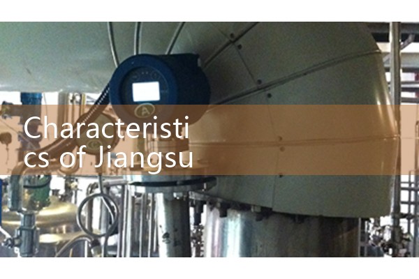 Characteristics of Jiangsu Quality Flow Meter